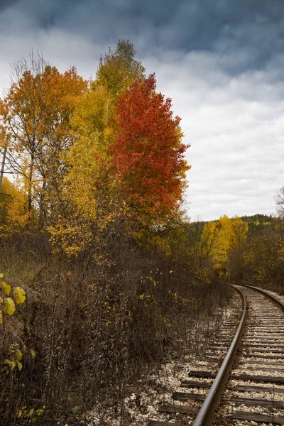 Camino Otoño Rojo — Foto de Stock