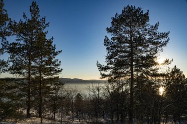 bir kış günü bir yürüyüş