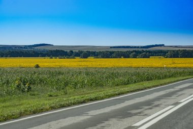 doğanın koynunda gezisi