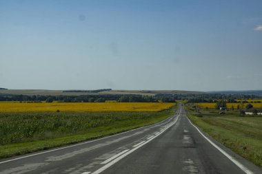 doğanın koynunda gezisi