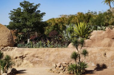 Crocopark, Agadir, Fas ziyareti