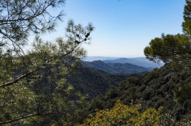 Troodos dağ silsilesi. 1140 metre deniz seviyesinden. Türkiye Cumhuriyeti, Kıbrıs adasında...
