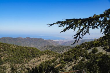 Troodos dağ silsilesi. 1140 metre deniz seviyesinden. Türkiye Cumhuriyeti, Kıbrıs adasında...