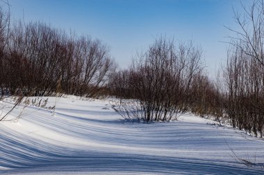 Kış Doğa bağrında yürüyüş