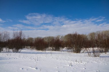 Kış Doğa bağrında yürüyüş