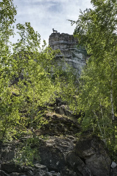 Wandeling Bergen Aan Oever Van Rivier — Stockfoto