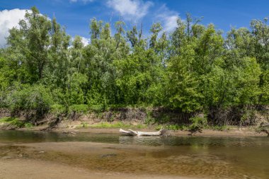 nehir durgun ülke yürüyüş