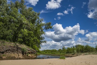 nehir durgun ülke yürüyüş