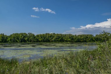 nehir Kıyısında ülke dinlenme