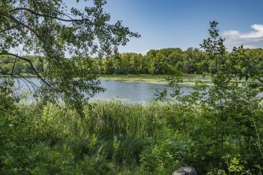 nehir Kıyısında ülke dinlenme