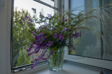 Fare bezelye çiçekleri ve cam bir vazoda çekirge ile sakin bir hayat