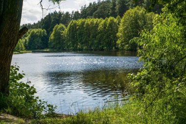 Göl kıyısında yürü