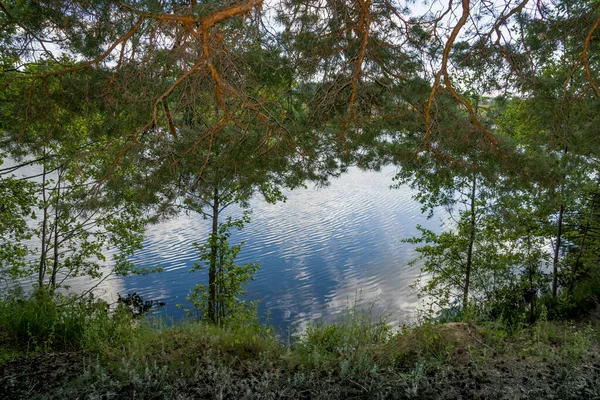 Promenad Längs Sjöstranden — Stockfoto