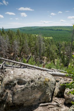 Büyük kaya ve kayaların arasında ormanda yürü.