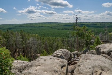 Büyük kaya ve kayaların arasında ormanda yürü.