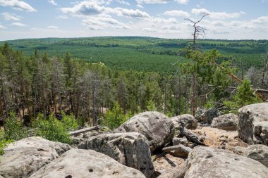 Büyük kaya ve kayaların arasında ormanda yürü.