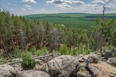 Büyük kaya ve kayaların arasında ormanda yürü.