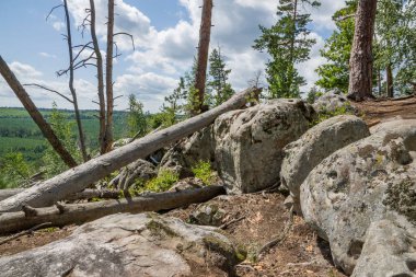 Büyük kaya ve kayaların arasında ormanda yürü.