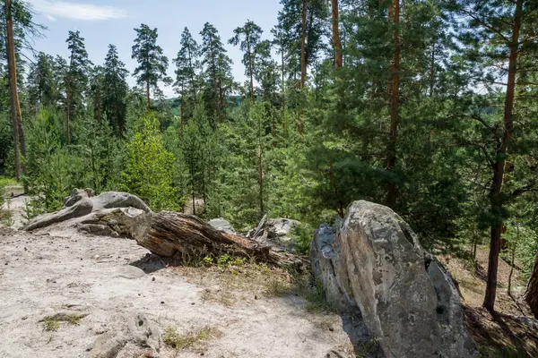 Procházka Lesem Mezi Obrovskými Balvany Kameny — Stock fotografie