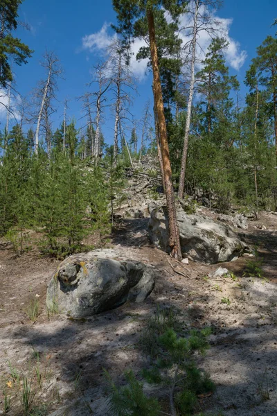 Spaziergang Durch Den Wald Zwischen Riesigen Felsbrocken Und Steinen — Stockfoto