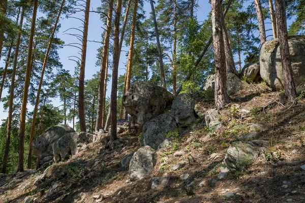 Procházka Lesem Mezi Obrovskými Balvany Kameny — Stock fotografie