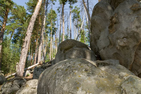 Caminar Por Bosque Entre Enormes Rocas Piedras — Foto de Stock