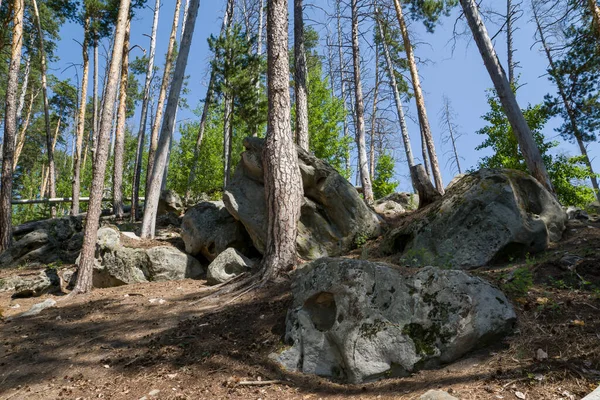 Spaziergang Durch Den Wald Zwischen Riesigen Felsbrocken Und Steinen — Stockfoto