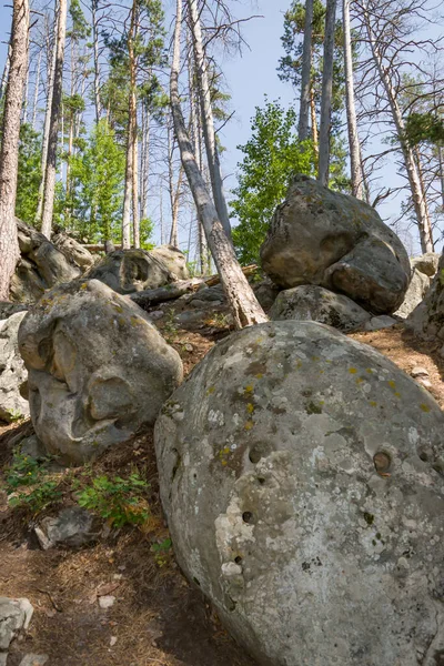 Wandel Door Het Bos Tussen Enorme Rotsblokken Stenen — Stockfoto