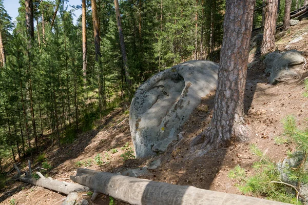 Прогулка Лесу Среди Огромных Валунов Камней — стоковое фото