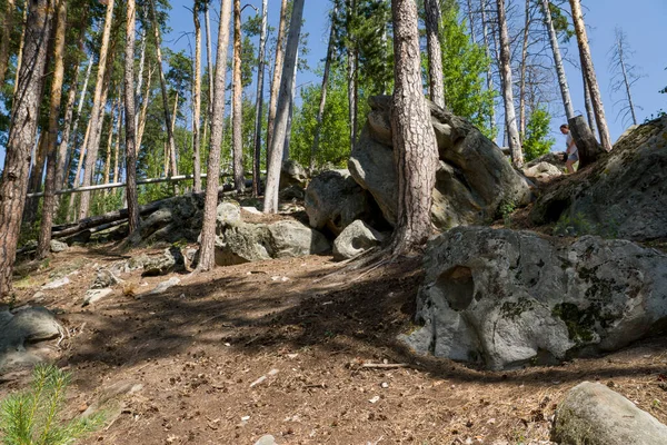 Walk Forest Huge Boulders Stones — Stock Photo, Image