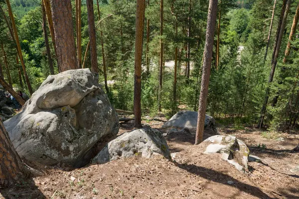 Procházka Lesem Mezi Obrovskými Balvany Kameny — Stock fotografie