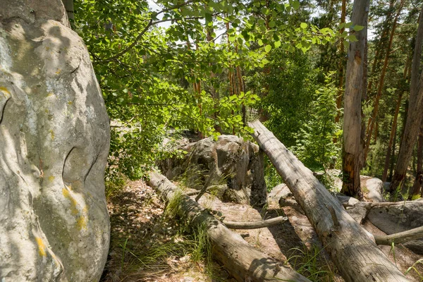 Caminhe Pela Floresta Entre Enormes Pedras Pedras — Fotografia de Stock
