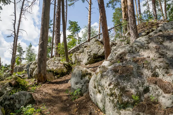 Procházka Lesem Mezi Obrovskými Balvany Kameny — Stock fotografie