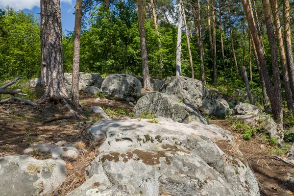 Procházka Lesem Mezi Obrovskými Balvany Kameny — Stock fotografie