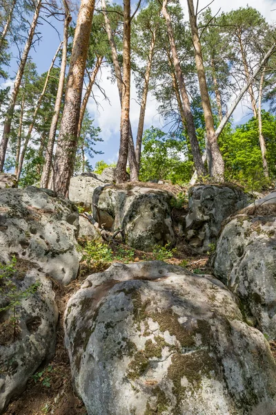 Spacer Lesie Wśród Ogromnych Głazów Kamieni — Zdjęcie stockowe