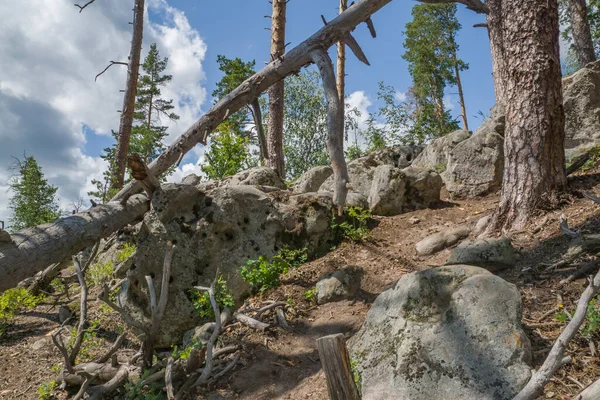 Spaziergang Durch Den Wald Zwischen Riesigen Felsbrocken Und Steinen — Stockfoto