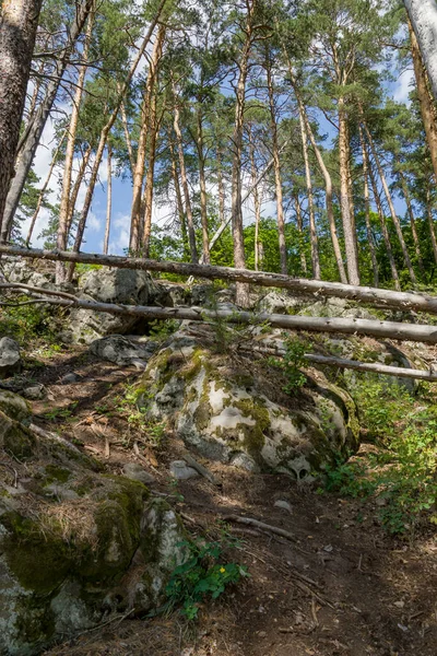 Spaziergang Durch Den Wald Zwischen Riesigen Felsbrocken Und Steinen — Stockfoto