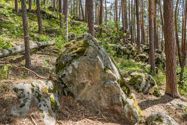 Procházka Lesem Mezi Obrovskými Balvany Kameny — Stock fotografie