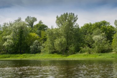 Sıcak bir yaz gününde nehirde rafting.