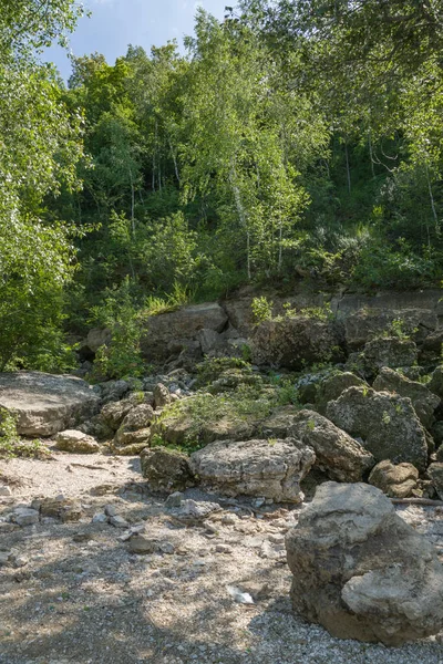 Promenad Längs Floden Bank — Stockfoto