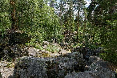 Ormandaki taş labirentte yürü.