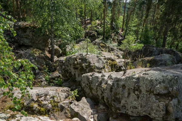 Caminhe Pelo Labirinto Pedra Floresta — Fotografia de Stock