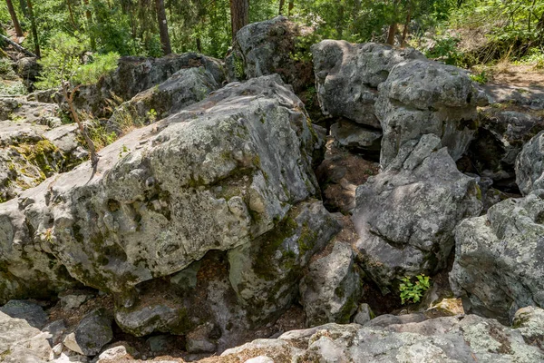 Projděte Kamenným Bludištěm Lese — Stock fotografie