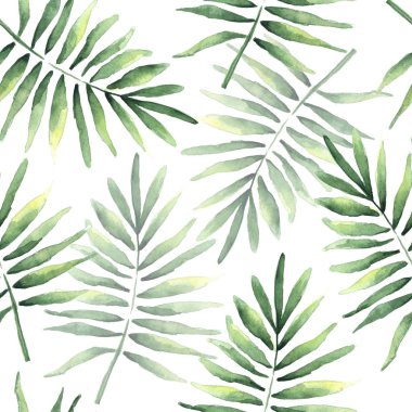 Beyaz arka plan üzerinde izole tropikal Hindistan cevizi yaprakları ile sorunsuz bir desen çizim suluboya