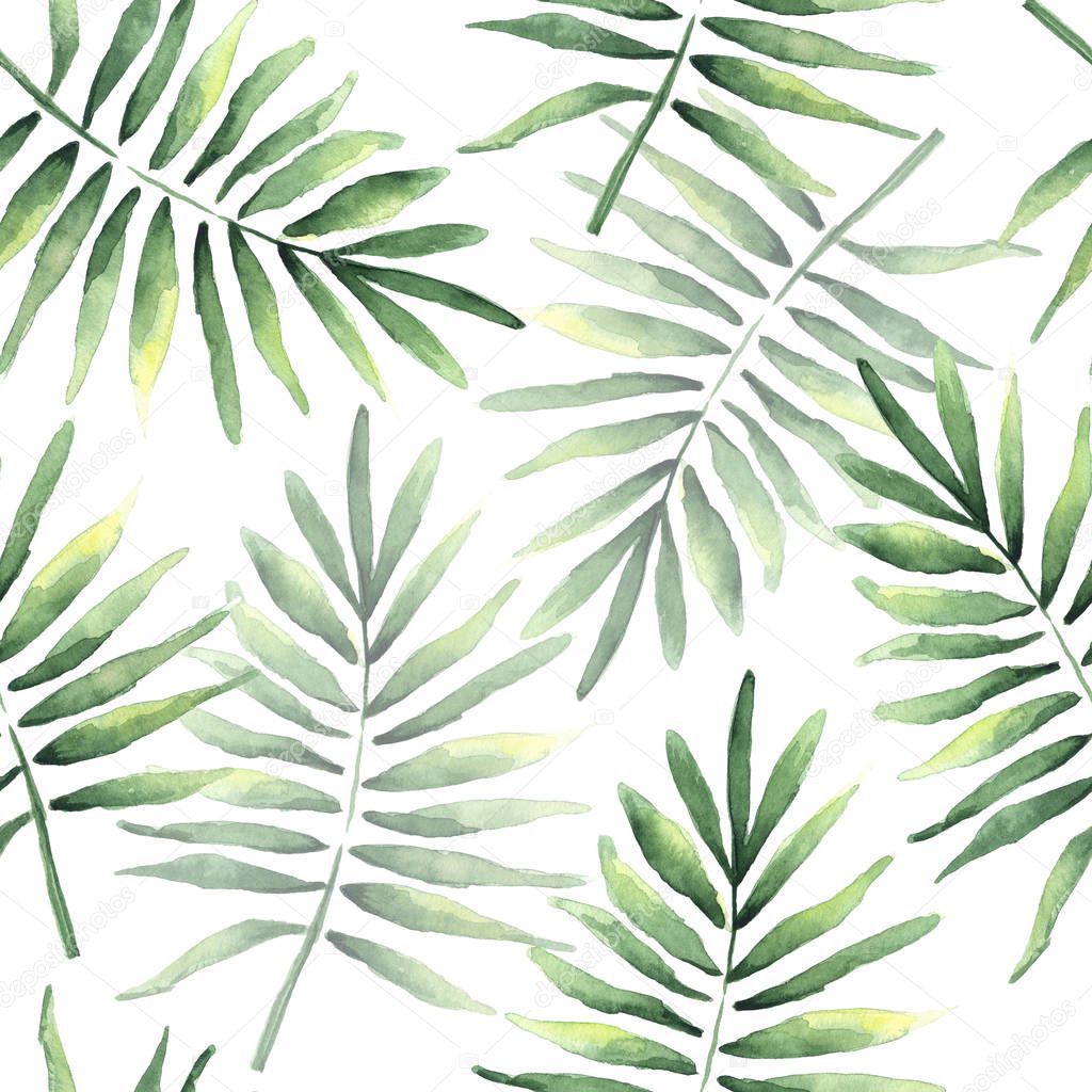 Watercolor drawing of a seamless pattern with tropical coconut leaves isolated on white background