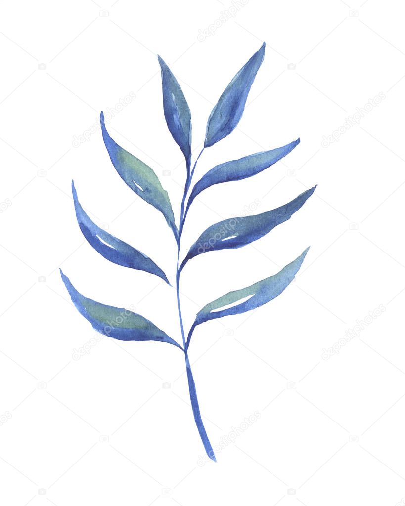 Watercolor drawing of a branch with blue leaves isolated on white background 