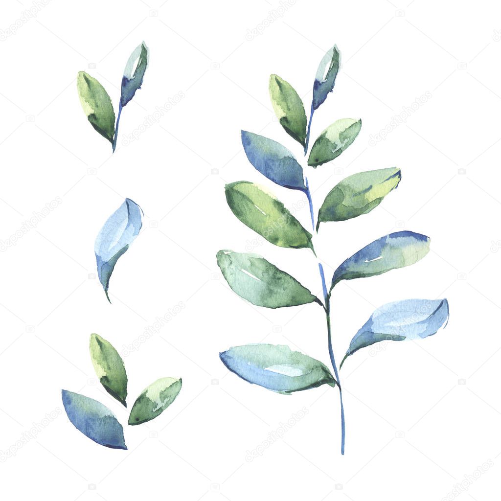 Watercolor drawing of set with blue leaves isolated on white background