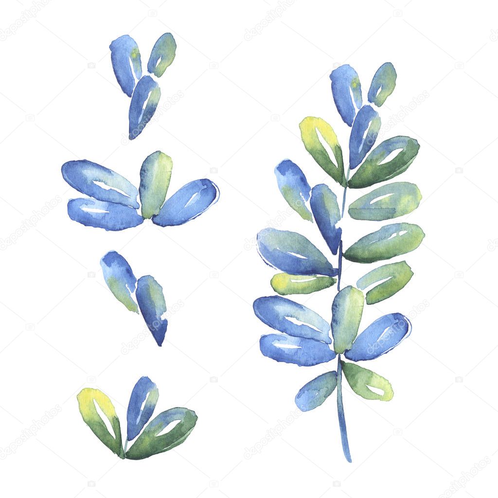 Watercolor drawing of set with blue leaves isolated on white background 