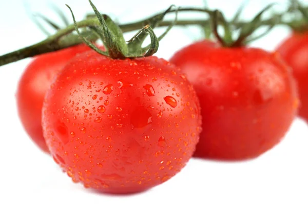 Ramo Tomates Cierran Sobre Fondo Blanco —  Fotos de Stock