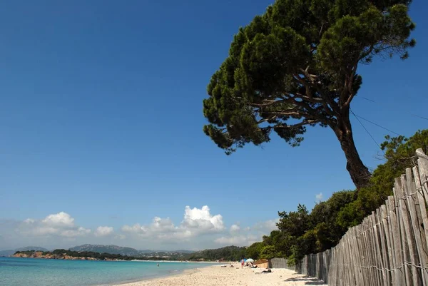 Beach Palombaggia — Stock Photo, Image